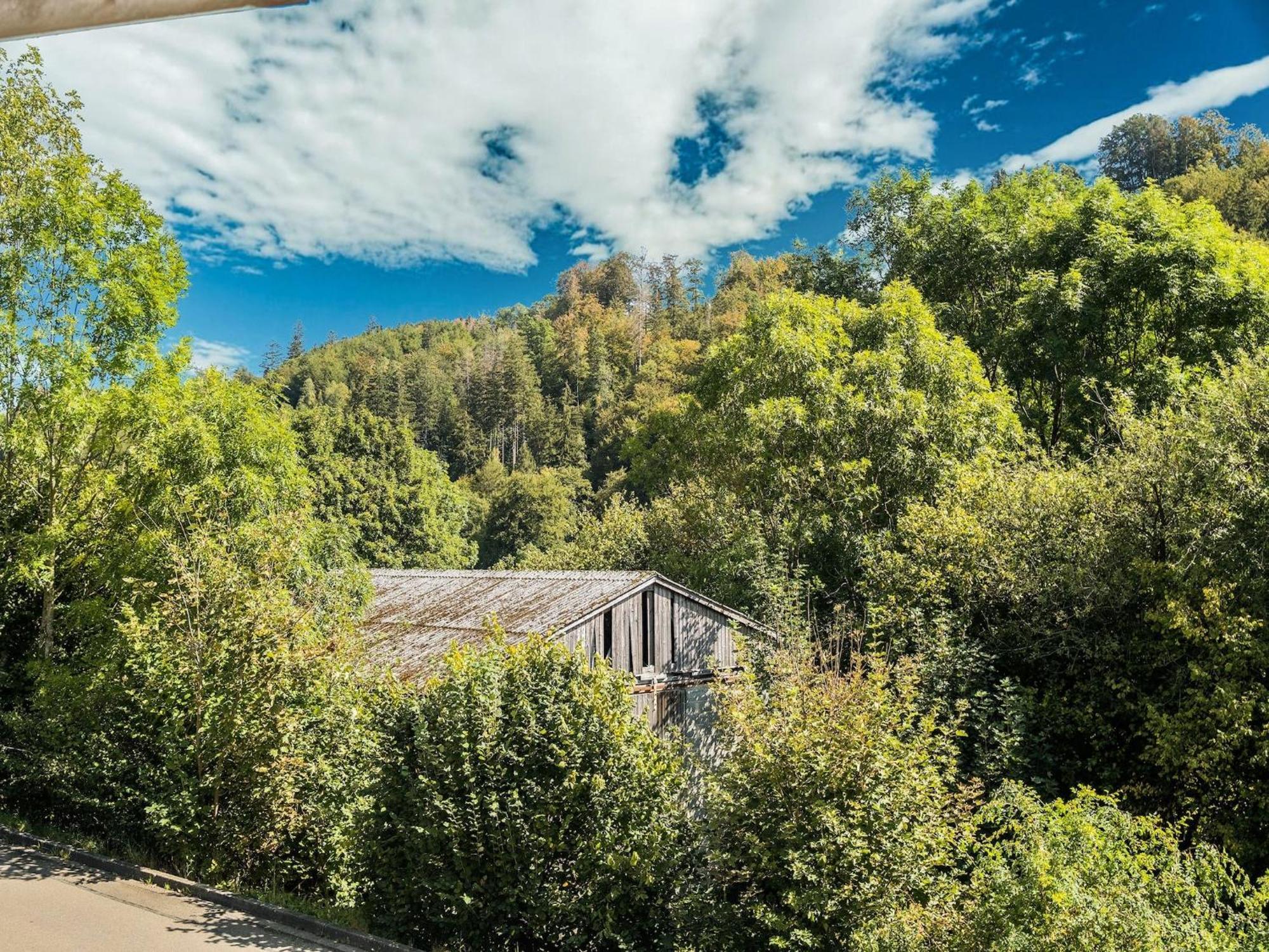 Modern Apartment In Schwalefeld With Garden Willingen  Buitenkant foto