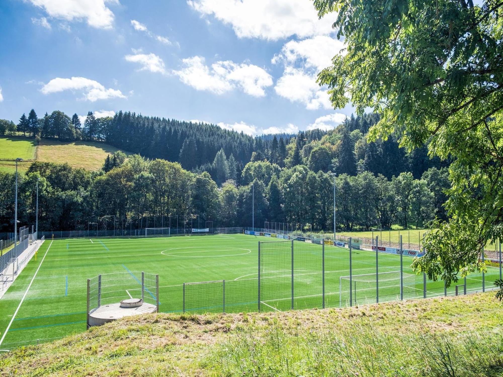 Modern Apartment In Schwalefeld With Garden Willingen  Buitenkant foto